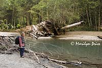 Bill looks at flood damage on the Ohanapecosh River