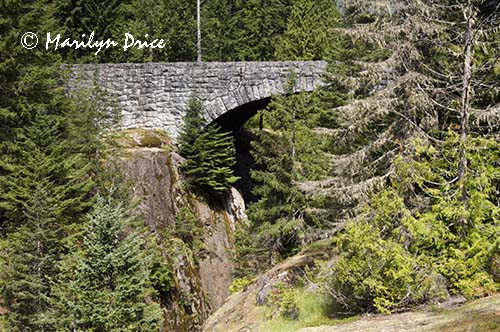 Bridge over Box Canyon