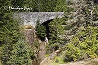 Bridge over Box Canyon