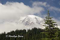 Mt. Rainier and Reflection Lake