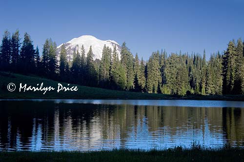 Mt. Rainier and Tipsoo Lake