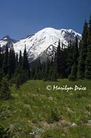 Mt. Rainier from Sunrise picnic area