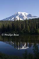 Mt. Rainier and Reflection Lake