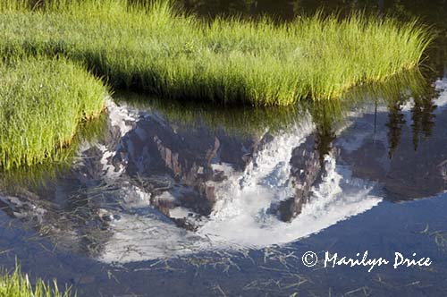 Mt. Rainier and Reflection Lake