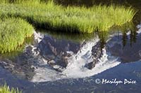 Mt. Rainier reflected in Reflection Lake