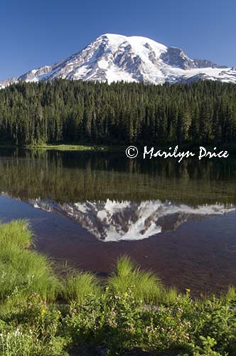 Mt. Rainier and Reflection Lake