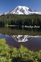 Mt. Rainier and Reflection Lake