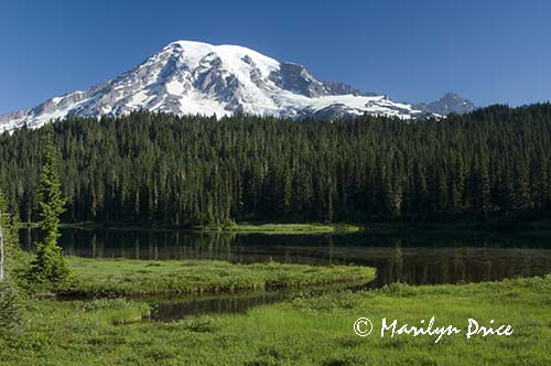 Mt. Rainier and Reflection Lake
