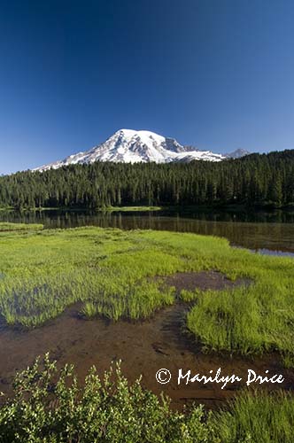 Mt. Rainier and Reflection Lake