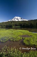 Mt. Rainier and Reflection Lake