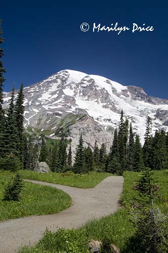 Mt. Rainier and Nisqually Vista Trail