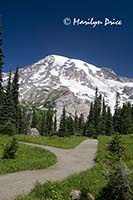 Mt. Rainier and Nisqually Vista Trail