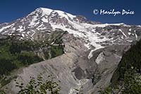 Mt. Rainier and Nisqually Glacier