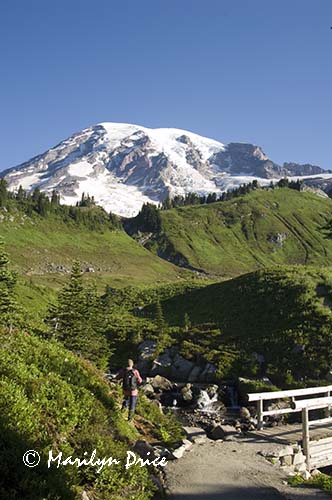 Mt. Rainier and Edith Creek