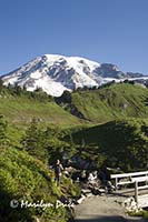 Mt. Rainier and Edith Creek