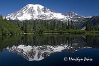 Mt. Rainier and Bench Lake