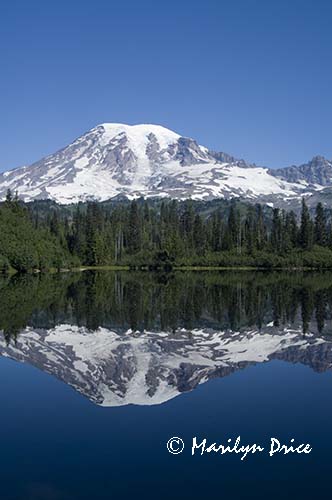 Mt. Rainier and Bench Lake