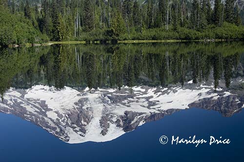 Mt. Rainier and Bench Lake