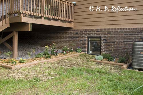New flower beds, Kingsport, TN