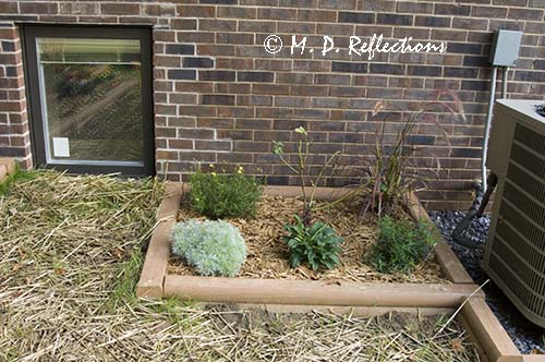 New flower bed near the heat pump, Kingsport, TN