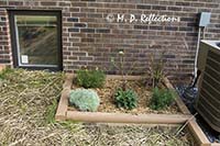 New flower bed near the heat pump, Kingsport, TN