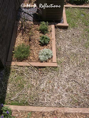 New flower bed near the heat pump, Kingsport, TN