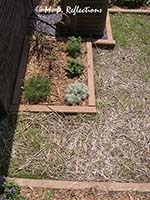 New flower bed near the heat pump, Kingsport, TN