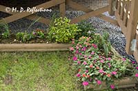 Part of the garden below the deck