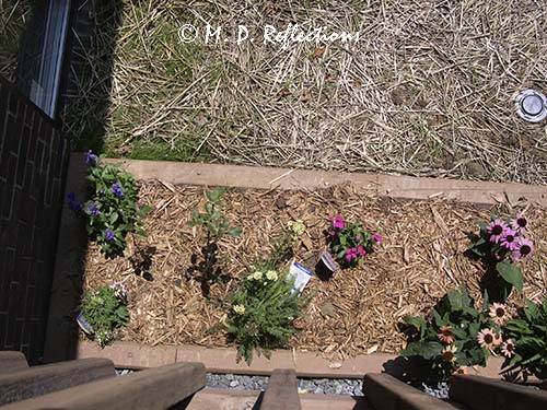 New flower beds, Kingsport, TN