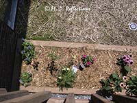 New flower beds, Kingsport, TN