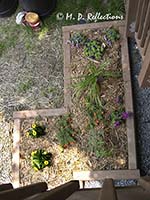 New flower beds, Kingsport, TN