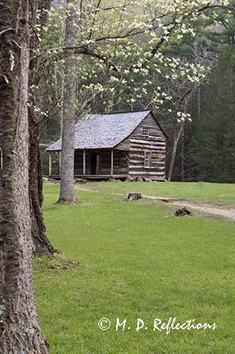 Carter Shields Cabin in spring, Cades Cove, Great Smoky Mountains National Park, TN