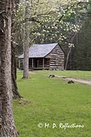 Carter Shields Cabin in spring, Cades Cove, Great Smoky Mountains National Park, TN