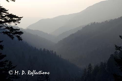Evening in the Smokies, Great Smoky Mountains National Park, TN