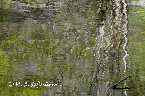 Reflections in the Middle Prong Little River, Great Smoky Mountains National Park, TN