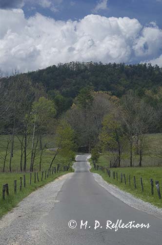 Road through Cades Cove, Great Smoky Mountains National Park, TN